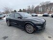  Ford Mustang Mach-E