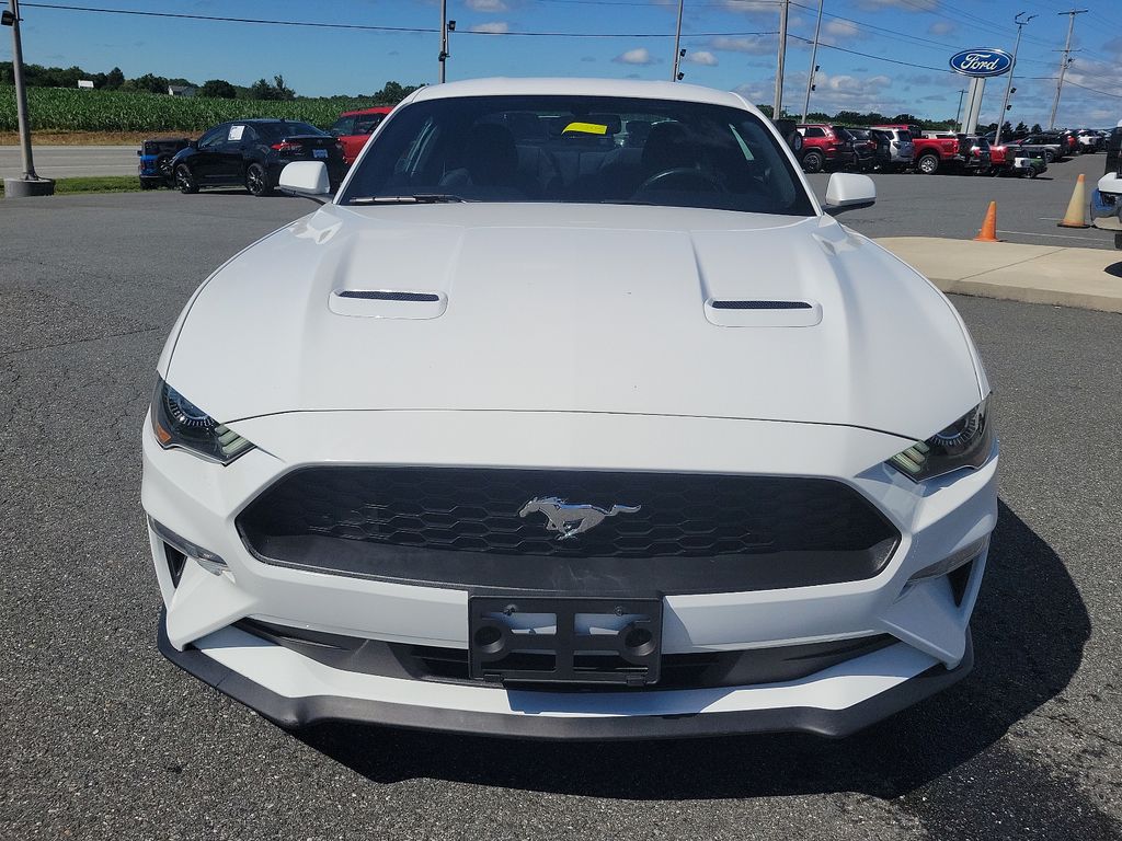 Used 2019 Ford Mustang EcoBoost with VIN 1FA6P8TH2K5167459 for sale in Rising Sun, MD