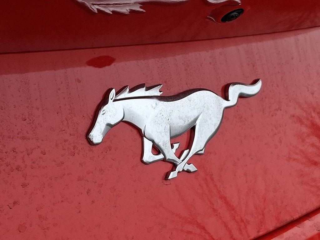 2026 Ford Mustang EcoBoost Premium Fastback - Photo 20