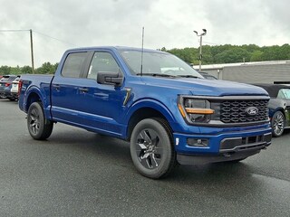 2025 Ford F-150 STX Truck