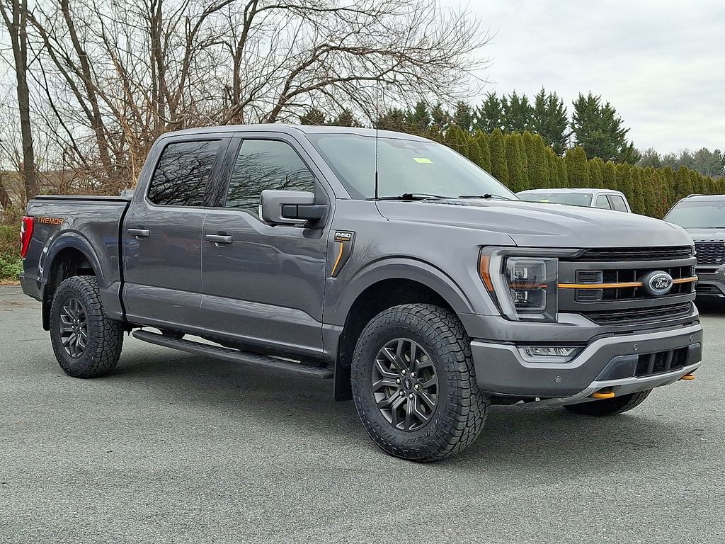 2023 Ford F-150 Tremor's photo