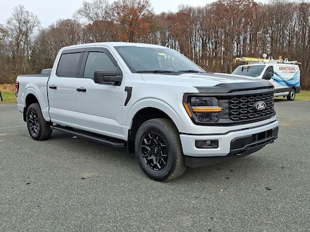 2025 Ford F-150 STX Truck