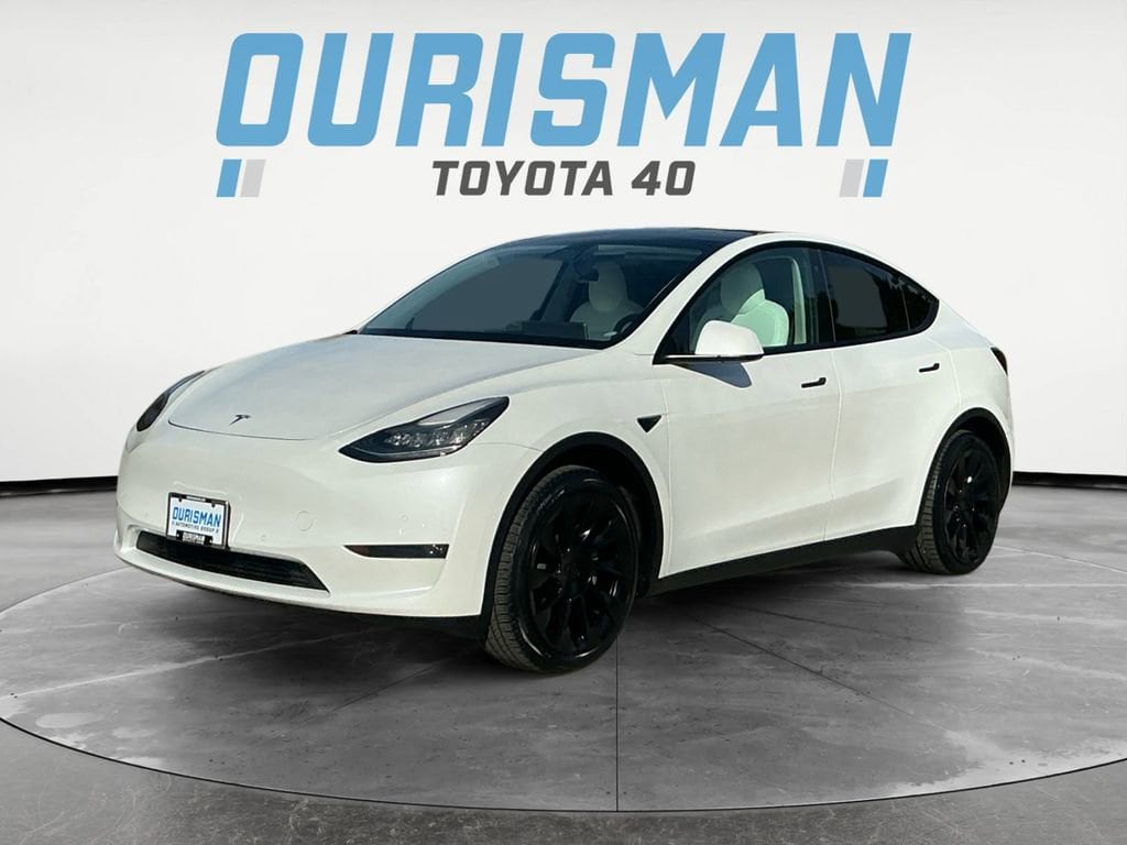 Used 2020 Tesla Model Y Long Range with VIN 5YJYGDEE1LF025831 for sale in Northfield, Minnesota