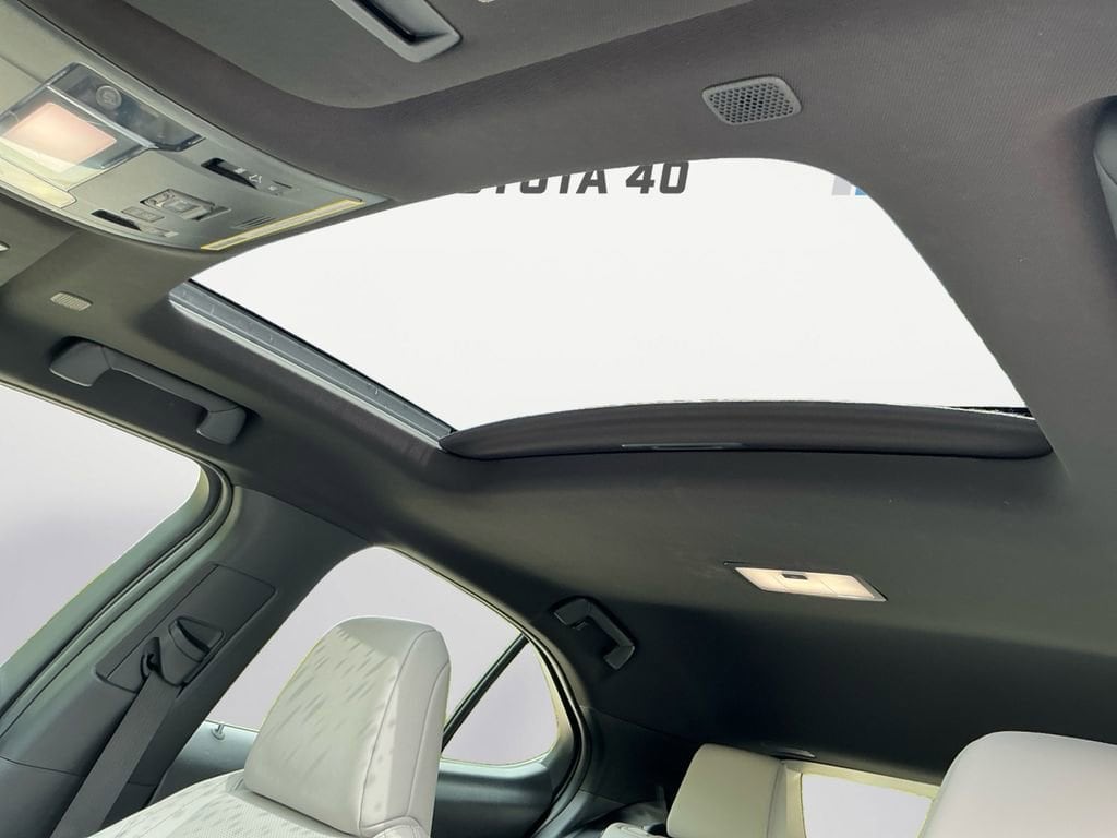 2023 Lexus UX Hybrid 250h Premium - Photo 19