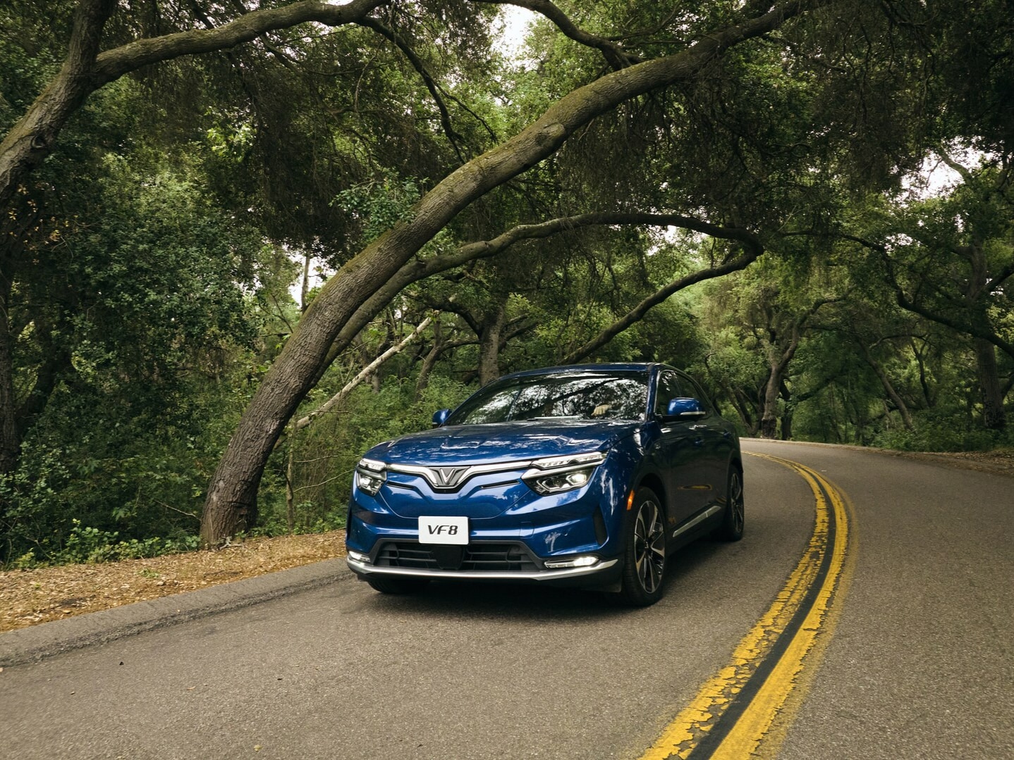 Vinfast VF8