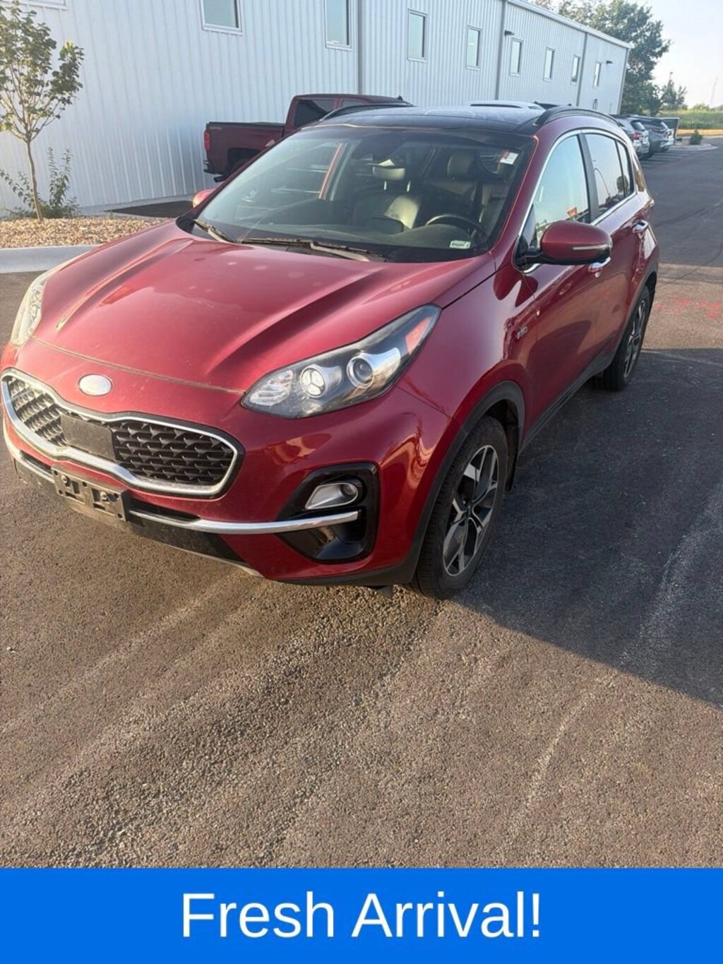 Used 2022 Kia Sportage EX SUV