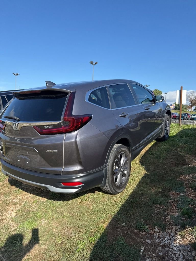 2022 Honda CR-V EX-L Sport photo 3