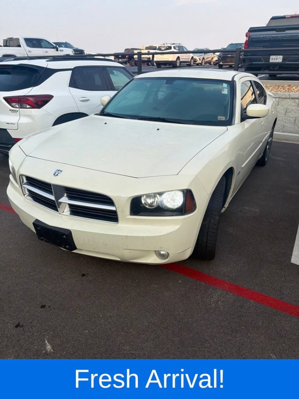 Used 2010 Dodge Charger Rallye Sedan