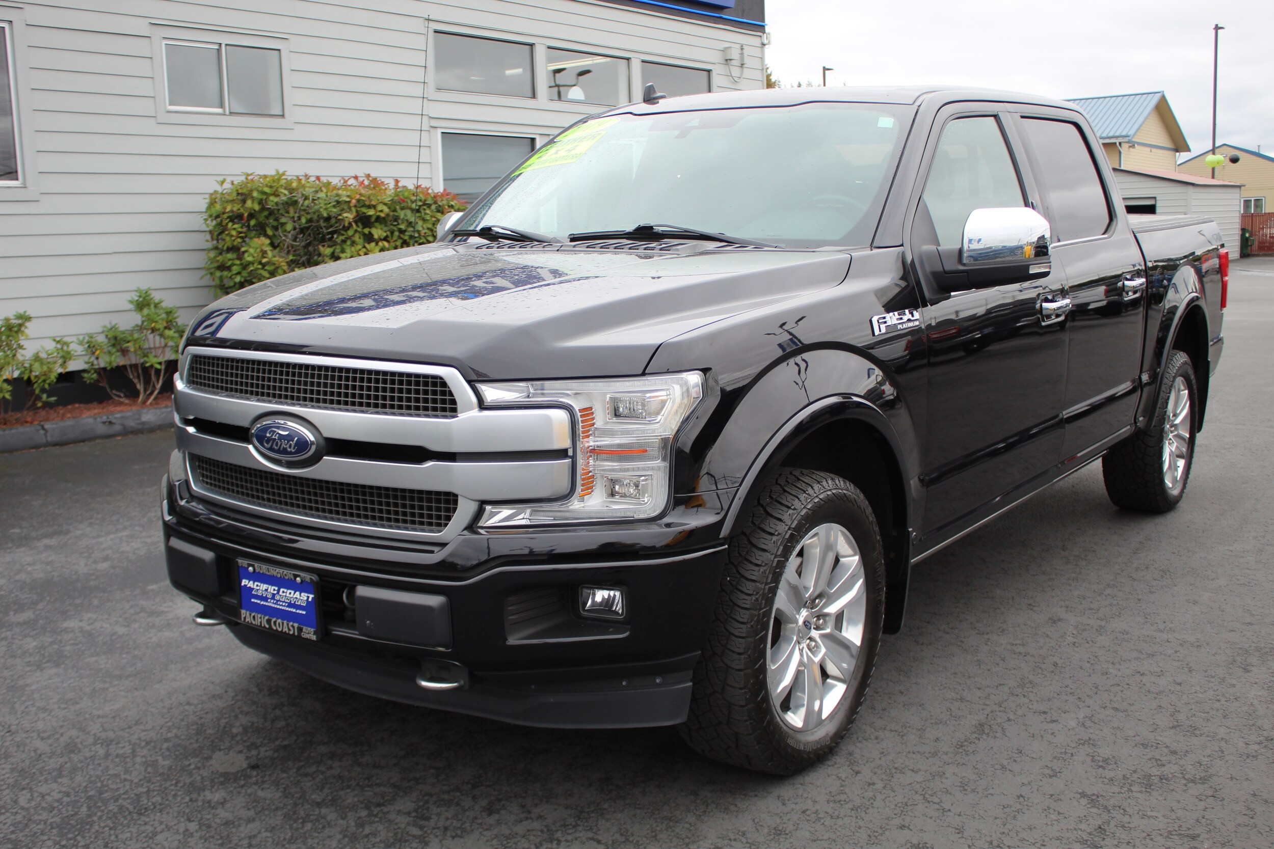 2019 Ford F-150 Platinum photo 2