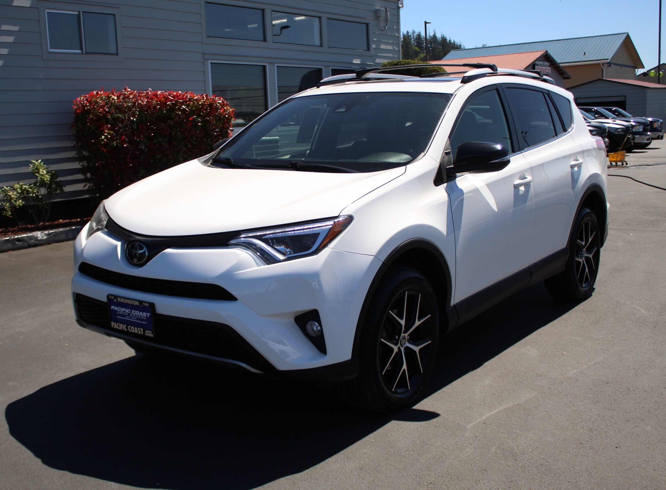 2018 Toyota RAV4 SE photo 2