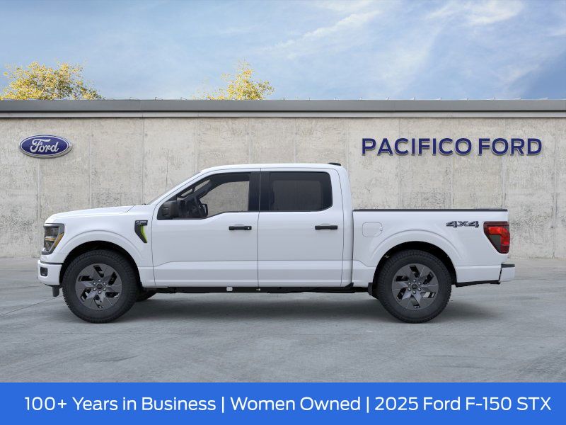 2025 Ford F-150 STX photo 3