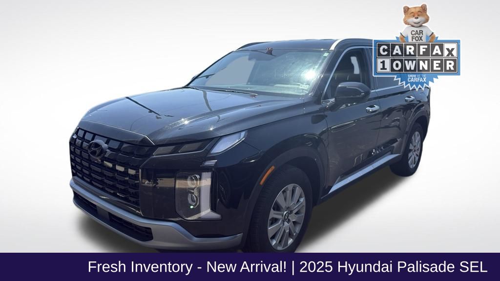 2025 Hyundai Palisade SEL - Photo 1