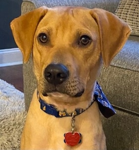 Staff member Bronco Pacifico from ID_05383a