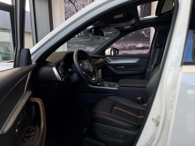 2025 Mazda CX-90 Premium Plus Package - Photo 17