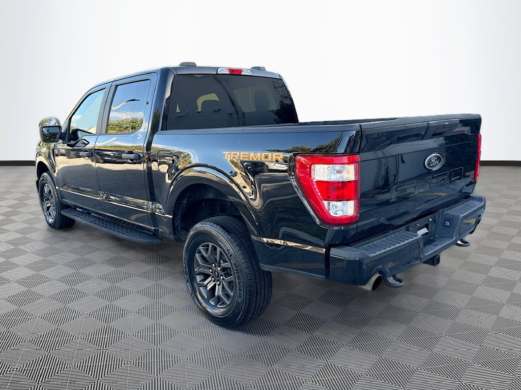 2021 Ford F-150 Tremor - Photo 6