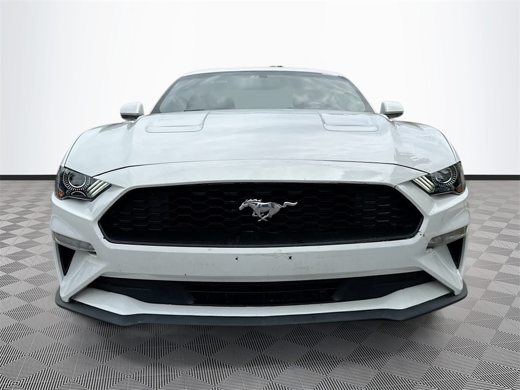 Used 2019 Ford Mustang EcoBoost with VIN 1FA6P8TH9K5204023 for sale in West Palm Beach, FL