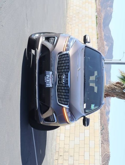 Used 2019 Kia Sorento SXL with VIN 5XYPK4A50KG495789 for sale in Palmdale, CA