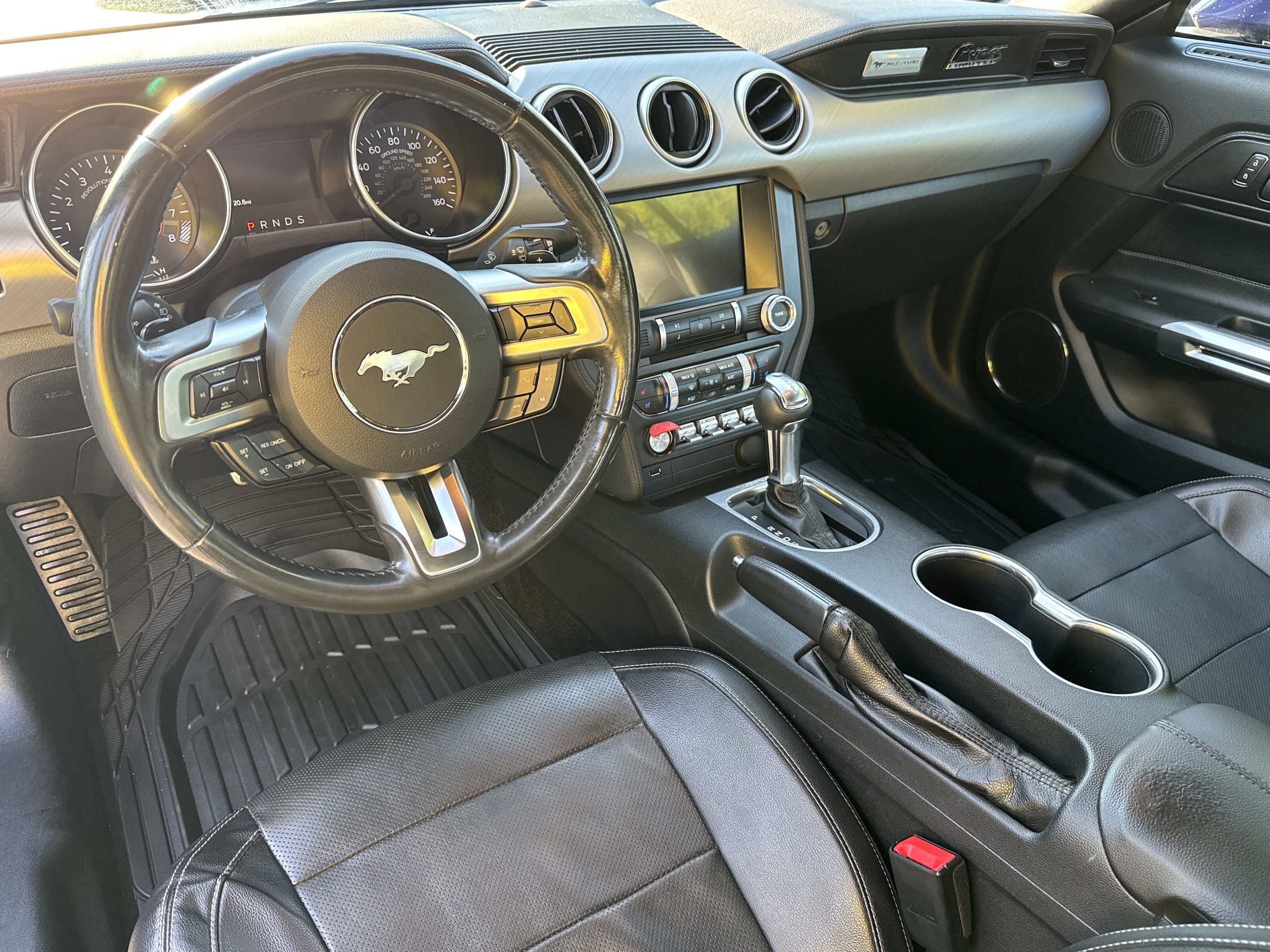 Photo 19