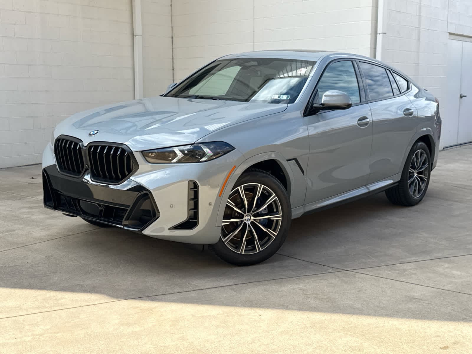 2026 BMW X6 xDrive40i's photo