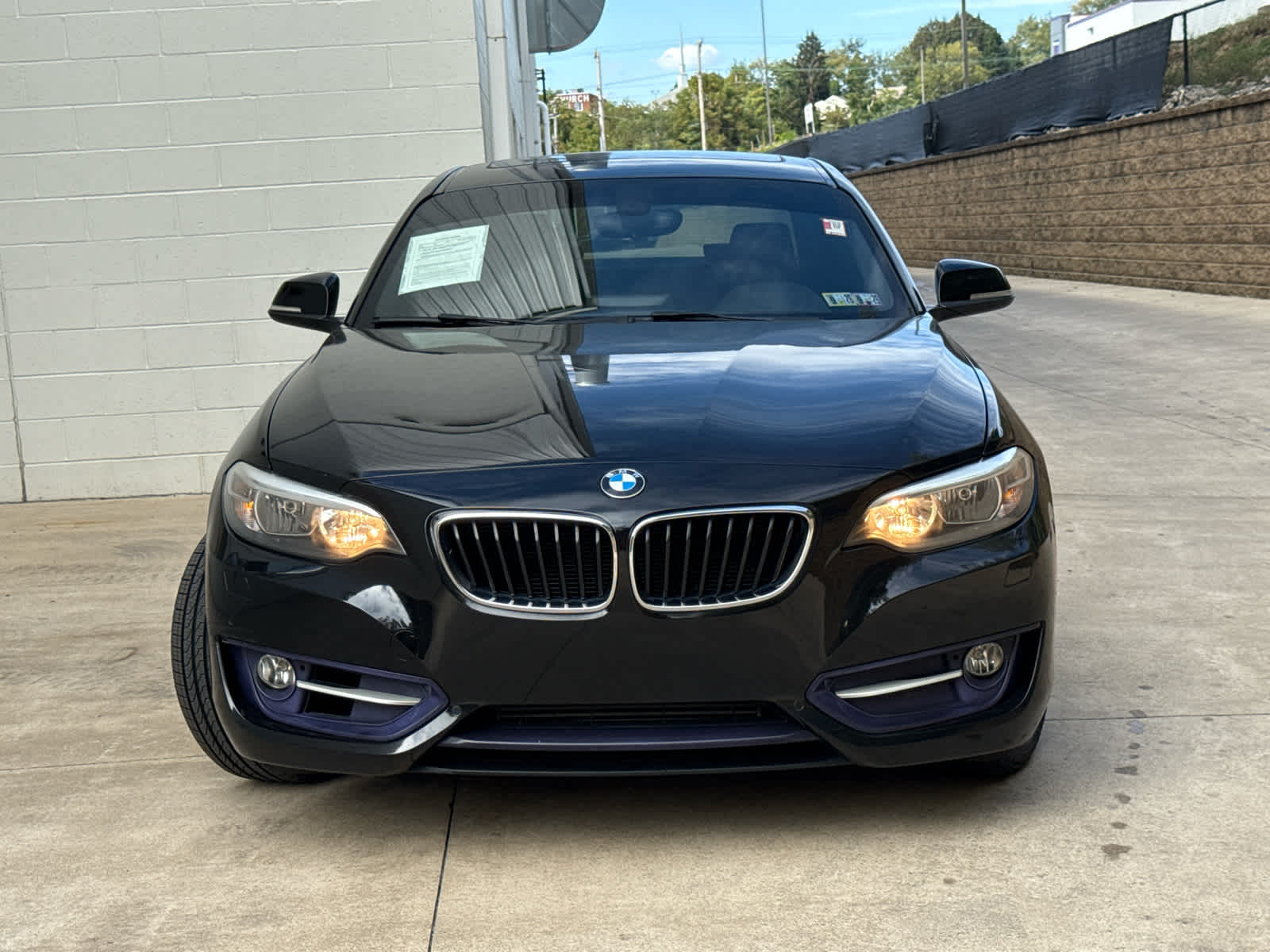 2016 Bmw 228i xDrive Coupe photo 2