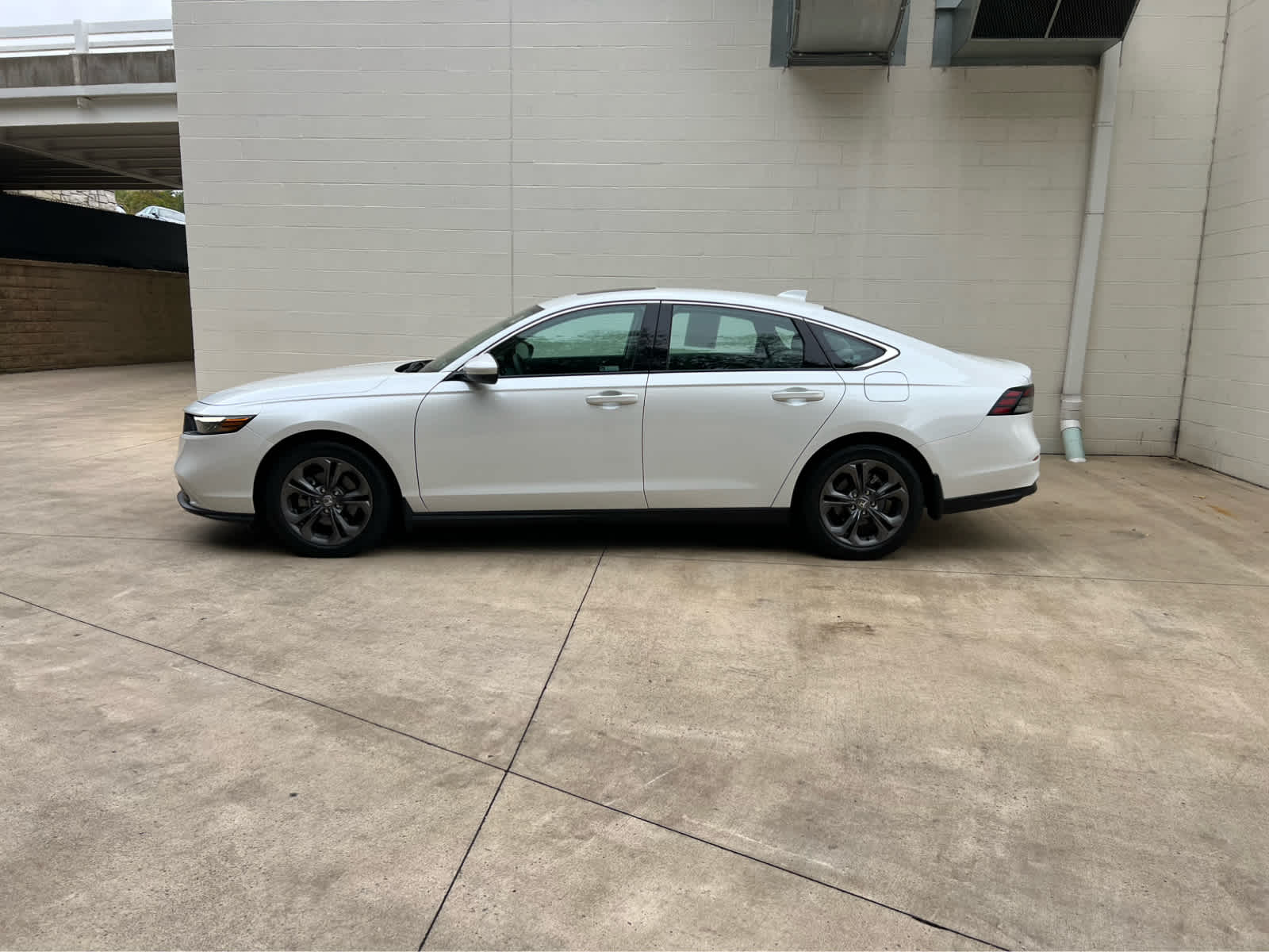 2023 Honda Accord EX's photo