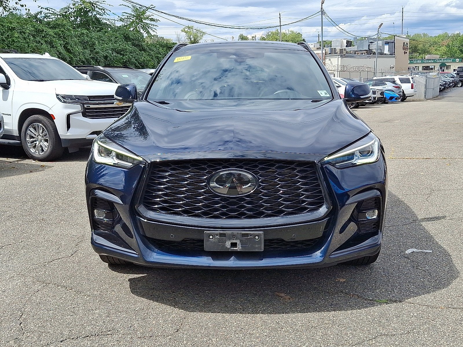 2023 Infiniti QX50 SPORT photo 2