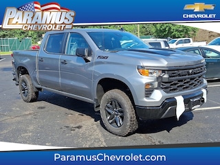 2025 Chevrolet Silverado 1500 Custom Trail Boss Truck