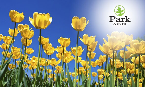 Spring-is-in-the-Air-Time-to-Shop-for-a-New-Car