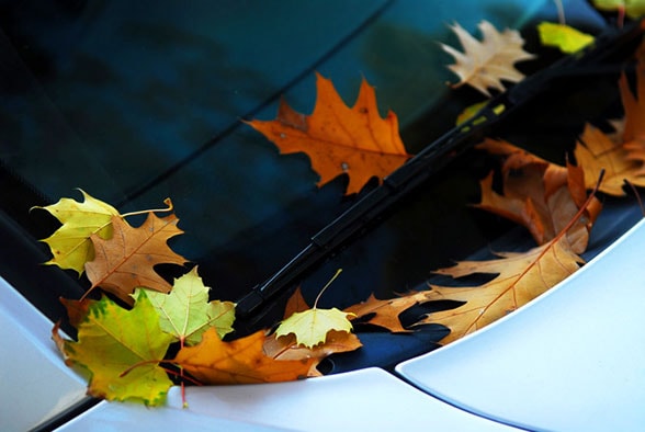 Fall-Maintenance-Needs