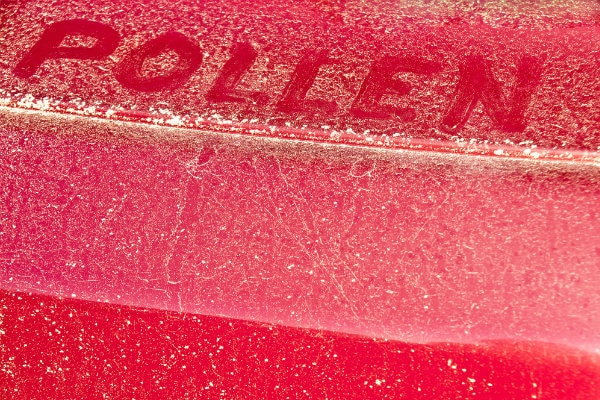 Pollen collected on vehicle Pollen collected on vehicle