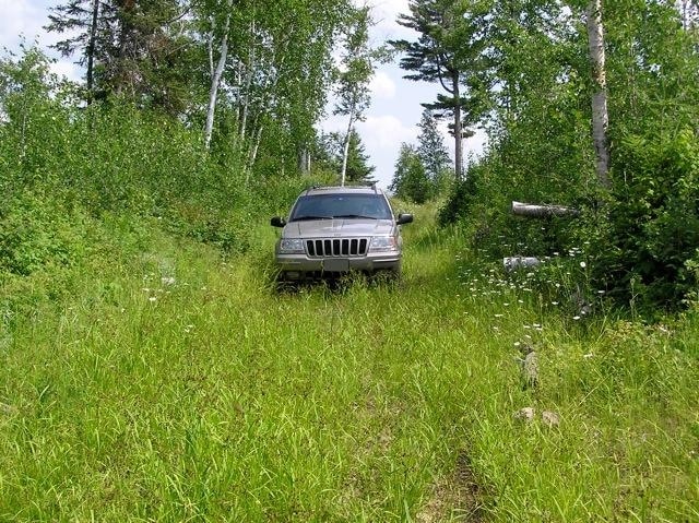 Curtis H. Grand Cherokee