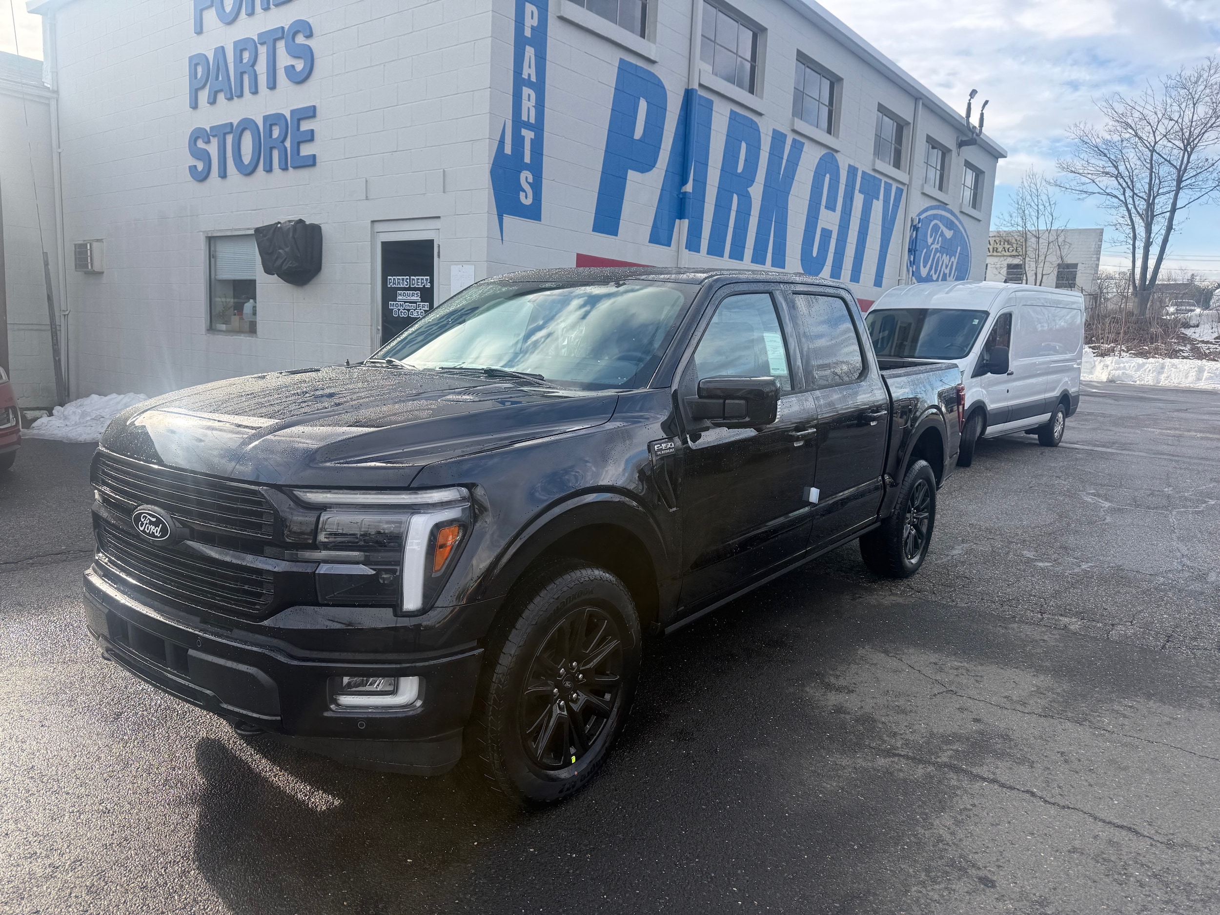 2025 Ford F-150 Platinum's photo