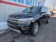  Ford Expedition MAX