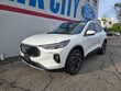 Ford Escape Platinum