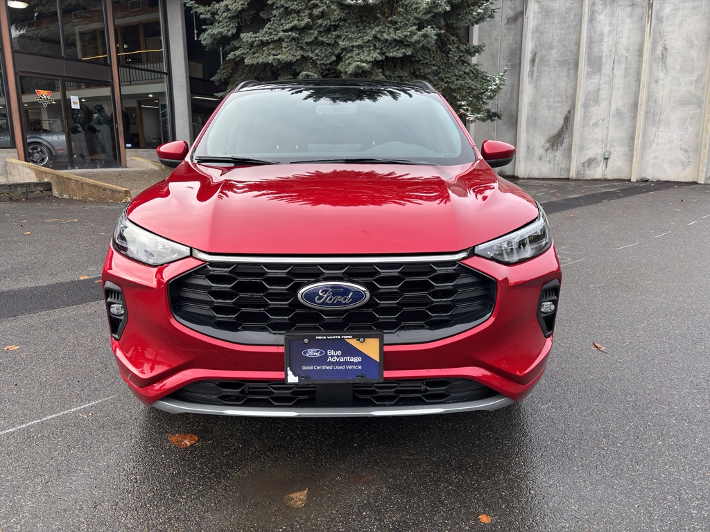 Used 2025 Ford Escape ST-Line Elite SUV