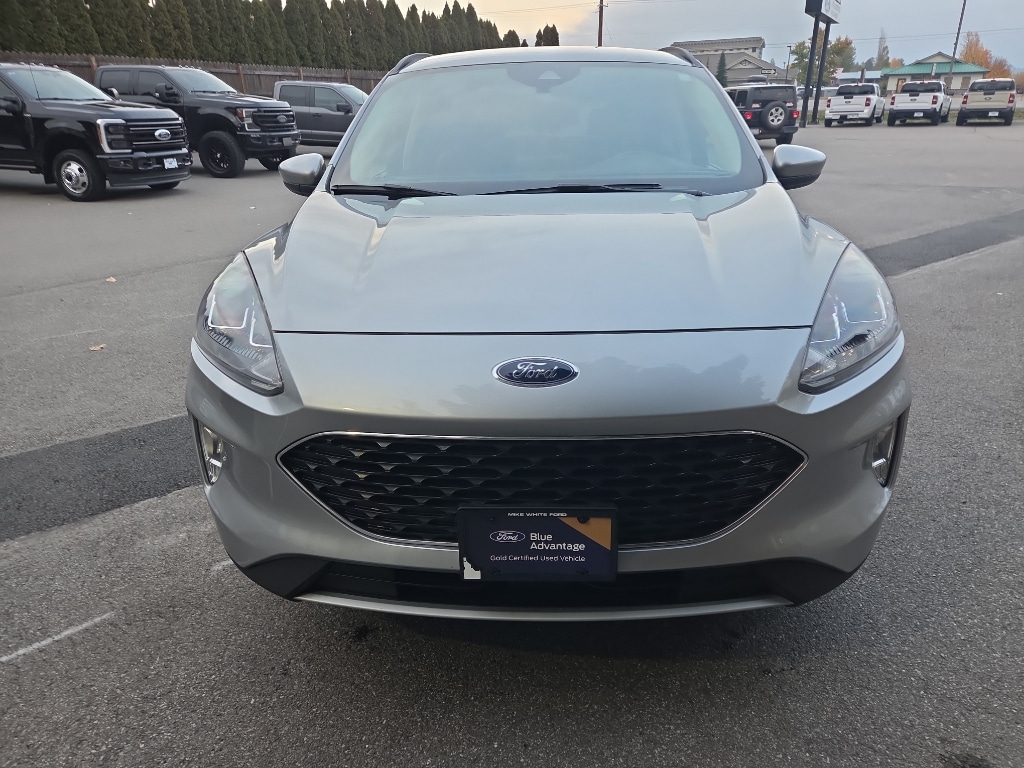 Used 2021 Ford Escape SEL Sport Utility