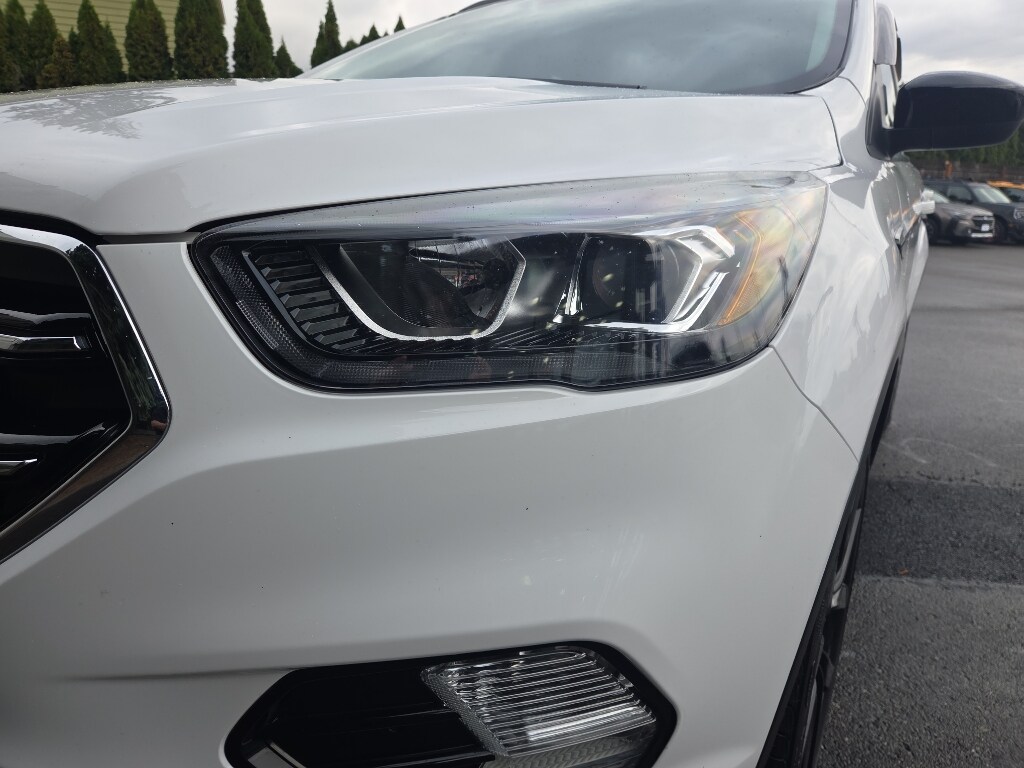 2019 Ford Escape SE photo 2