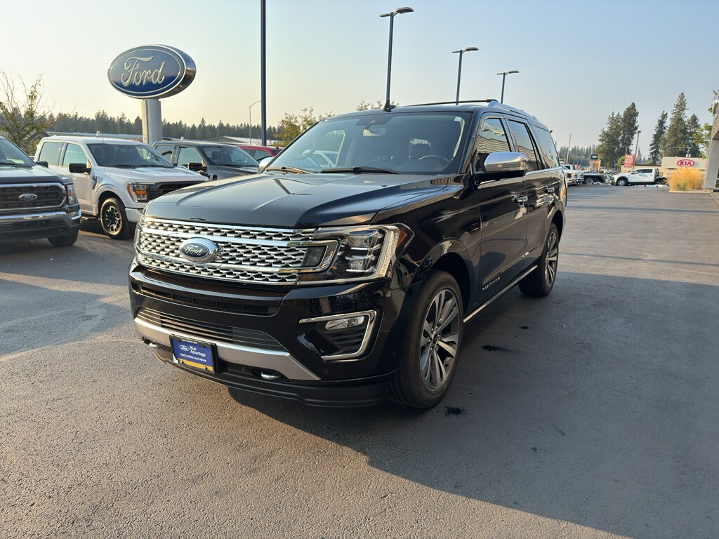 2021 Ford Expedition Platinum photo 3