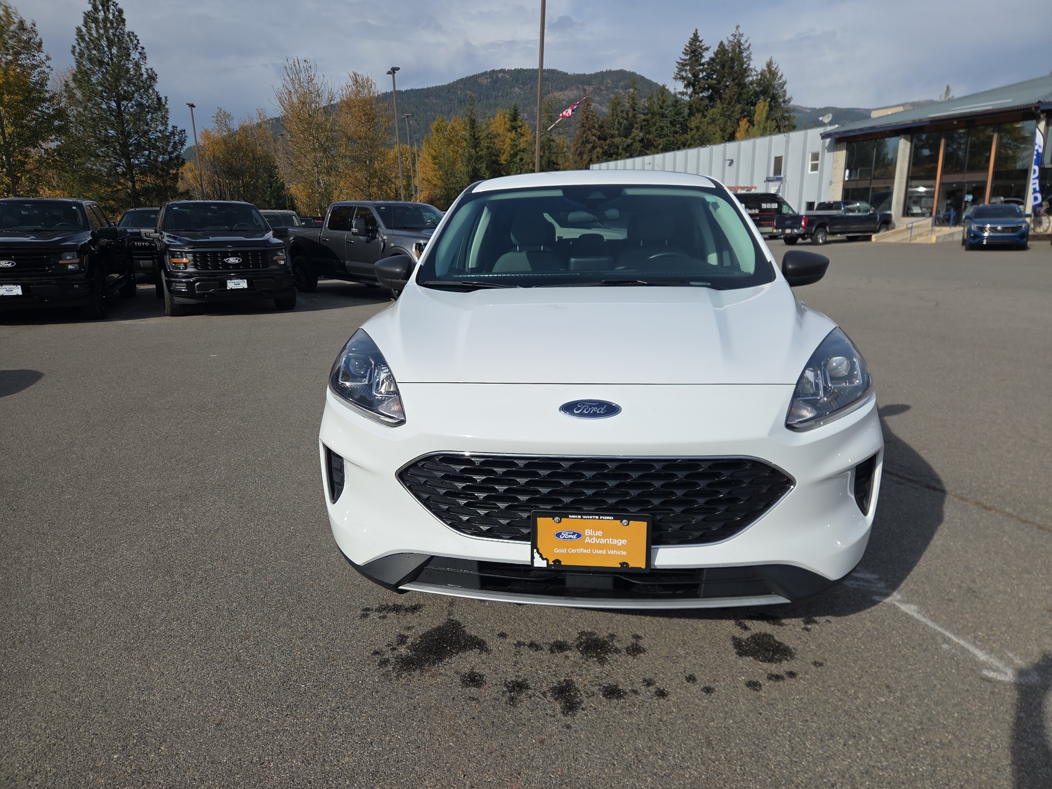 Used 2022 Ford Escape SE SUV