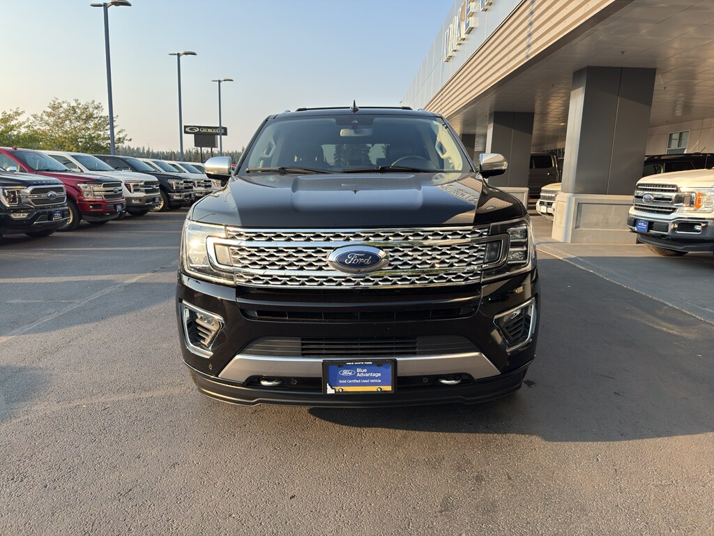 2021 Ford Expedition Platinum photo 2