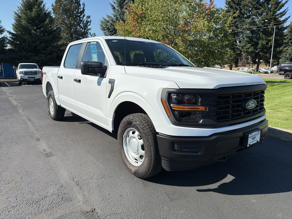 2025 Ford F-150 XL's photo