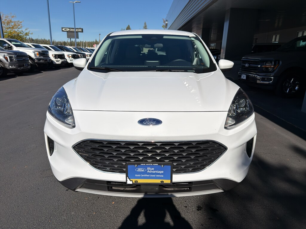 2021 Ford Escape SE photo 2