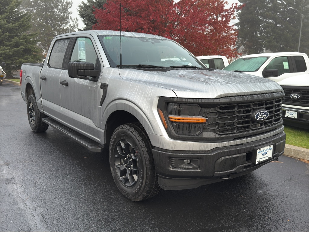 2025 Ford F-150 STX's photo