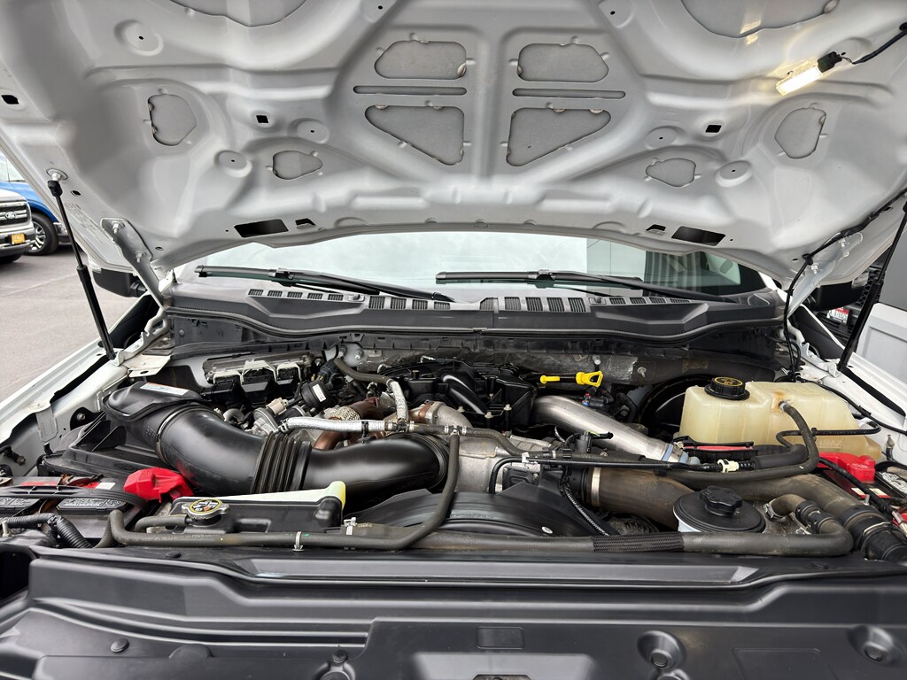 Used 2019 Ford F-250 XLT Crew Cab