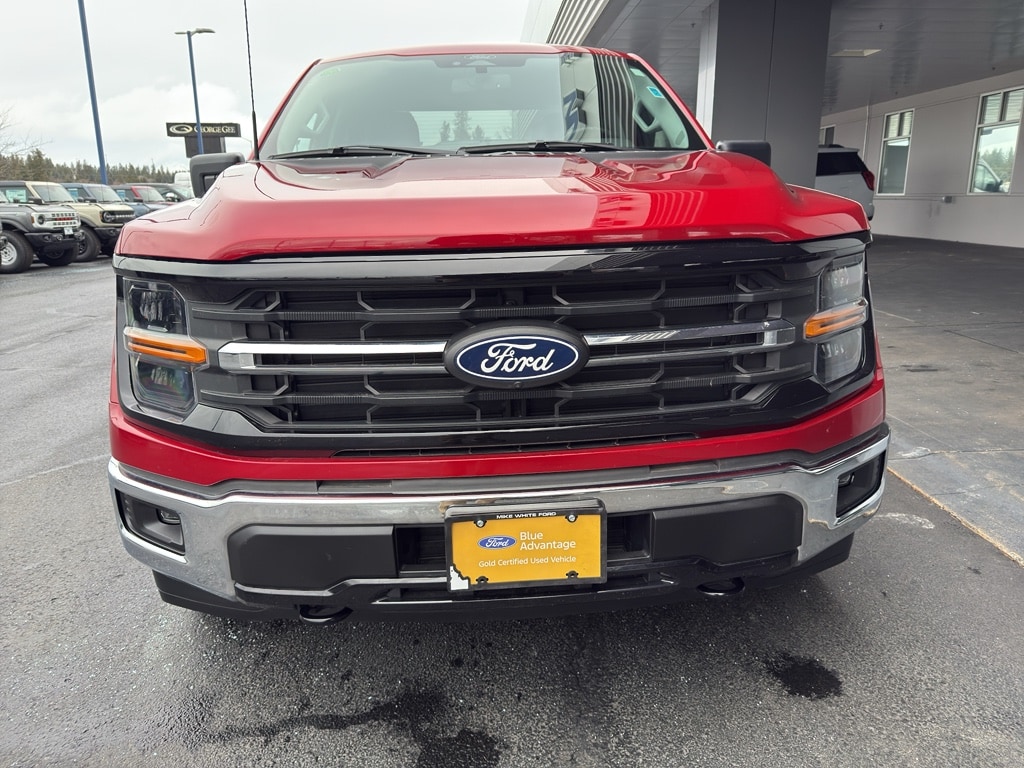 Used 2024 Ford F-150 XLT Crew Cab