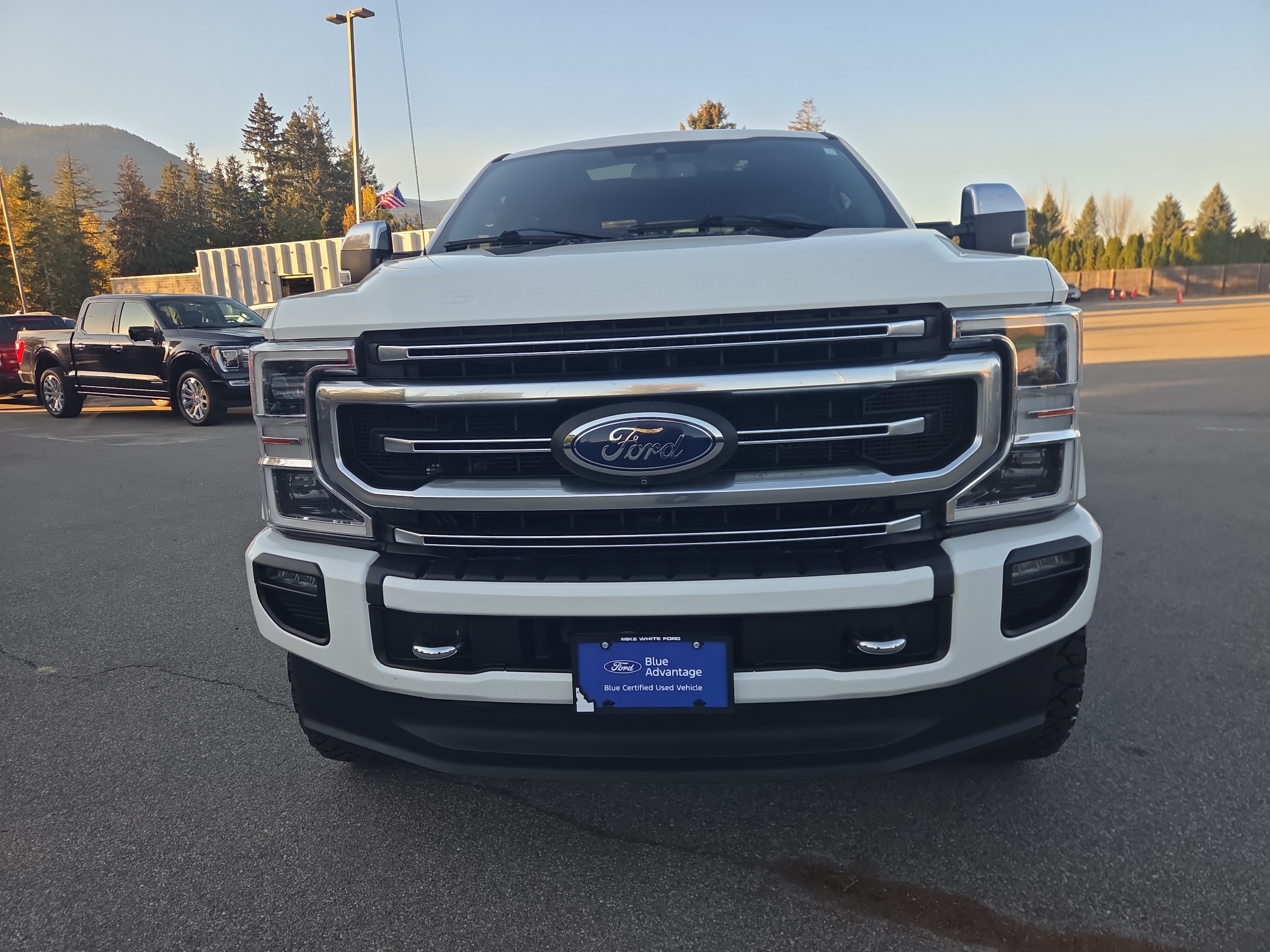 Used 2020 Ford F-350 Platinum Crew Cab