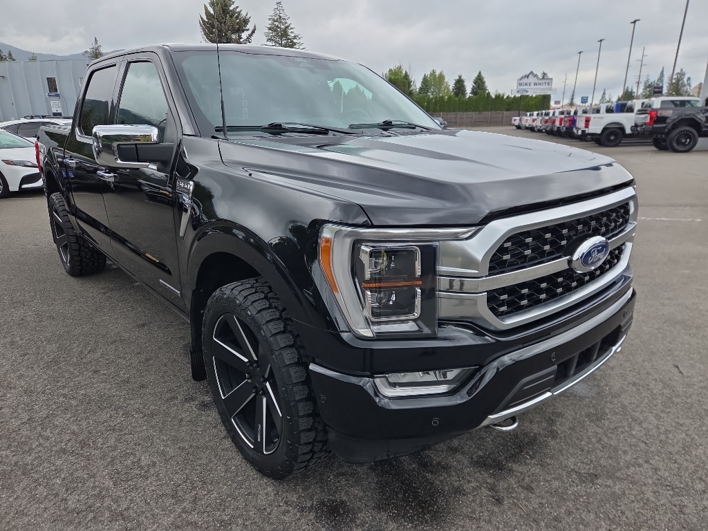 2021 Ford F-150 Platinum 4x4 SuperCrew 145 in's photo