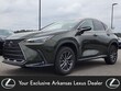  LEXUS NX 250