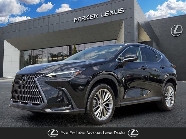 2024 LEXUS NX 350h