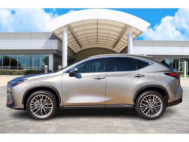 2026 Lexus NX Luxury photo 3
